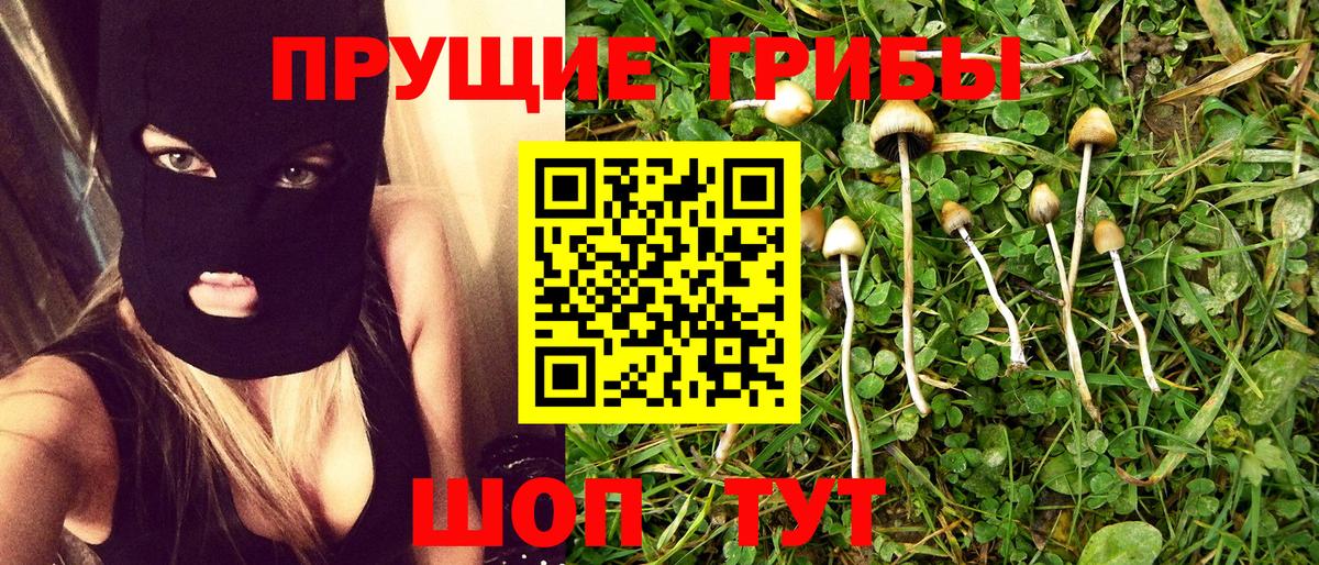 Владикавказ  Галлюциногенные грибы Cubensis  Вход с VPN  Галлюциногенные грибы ЛСД 
