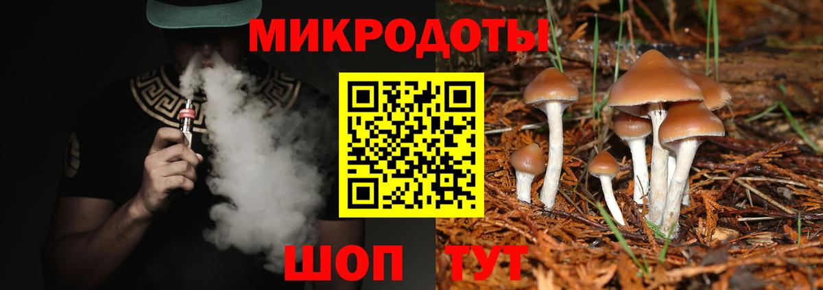 Галлюциногенные грибы мицелий Владикавказ